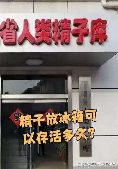 普通冰箱可以存放精子吗