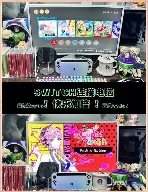 switch可以连电脑吗