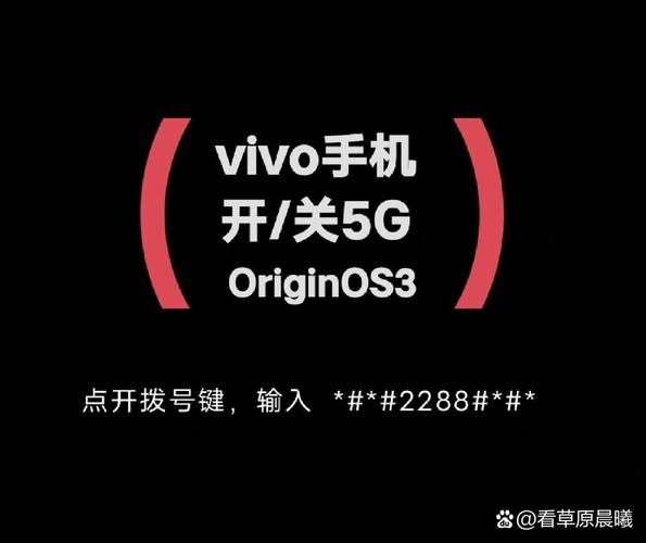 VIVO关闭5g开关口令