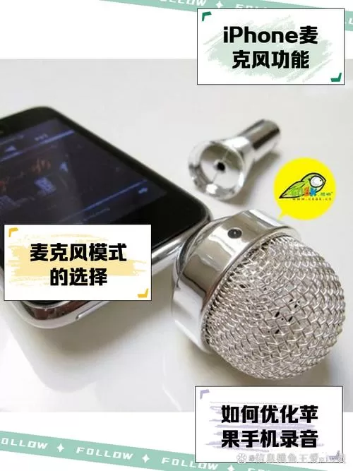 苹果的麦克风设置