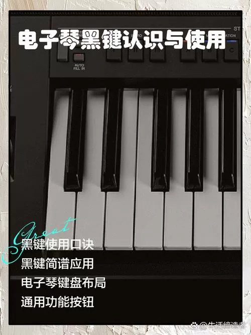 电子琴黑色键表示图