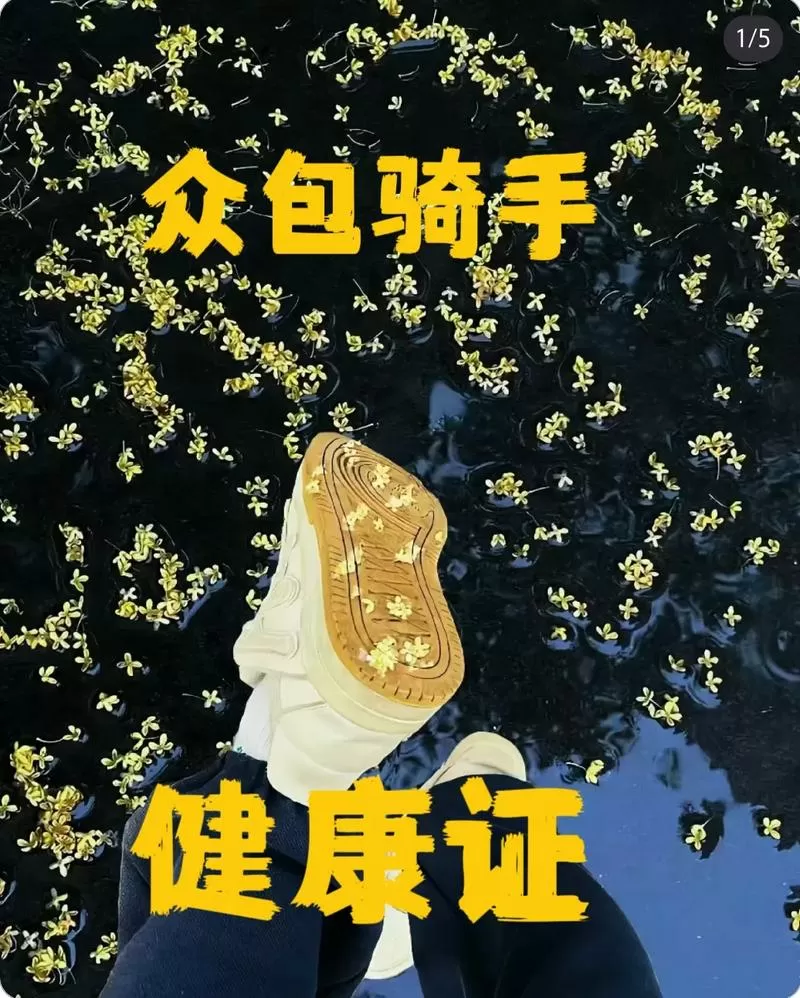蜂鸟众包检测要带头盔吗
