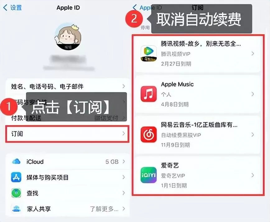 手机里自动续费的软件在哪里看