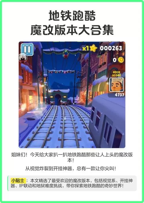 地铁跑酷玩家魔改版本合集图标
