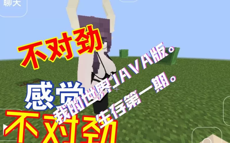 我的世界java版珍妮模组文件下载