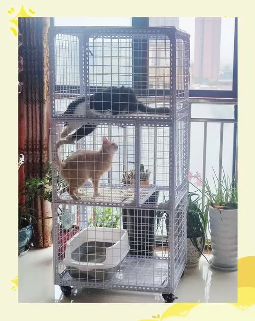自制踏板捕猫笼制作步骤图解