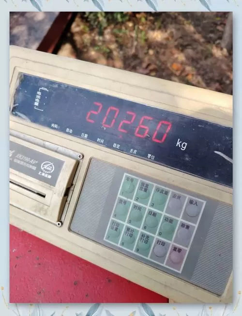 电子秤欠载是什么意思