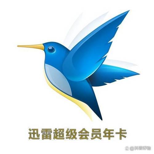 迅雷会员下载速度慢怎么办