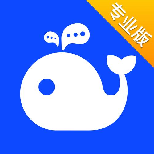 workplusse安卓版下载