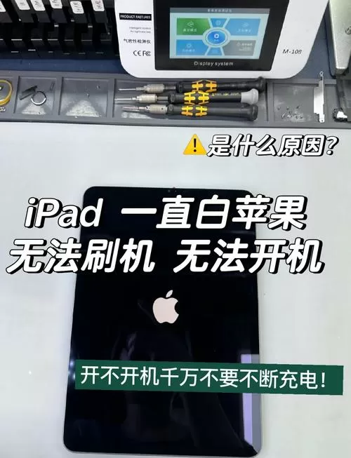 ipad白苹果一闪一闪开不了机