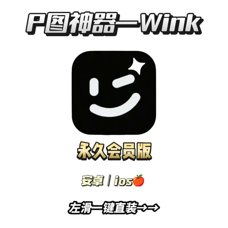 wink画质修复破解免费下载