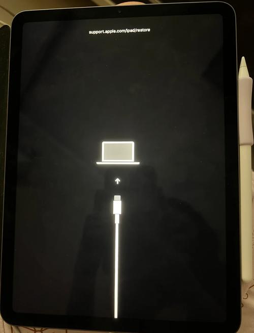 ipad黑屏一直语音提示
