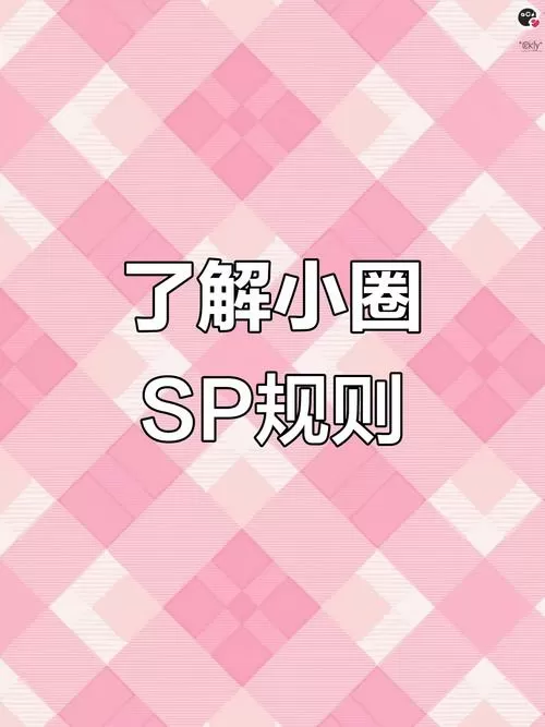 sp小圈可以罚什么