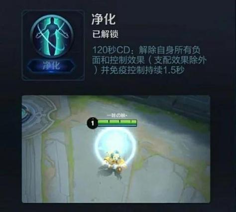 王者荣耀净化怎么用
