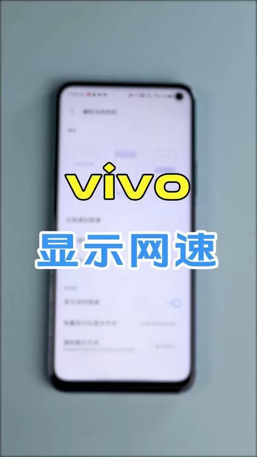 vivo手机网速显示在哪