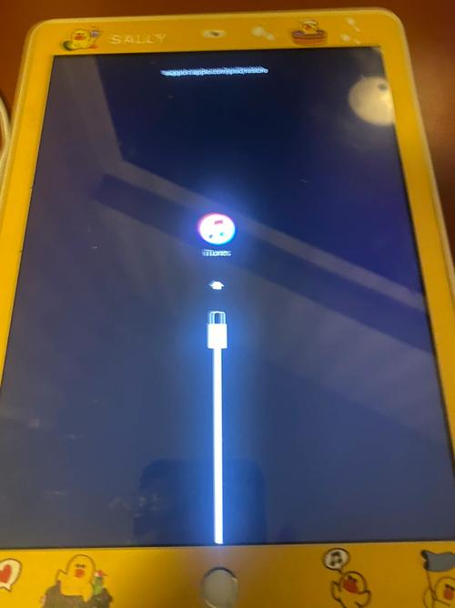 ipad卡在恢复模式无法开机