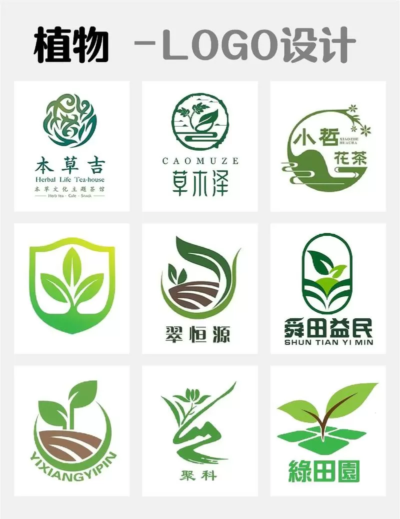 五强植物vs五废植物
