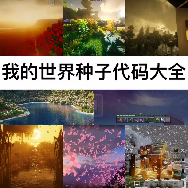 世界种子代码