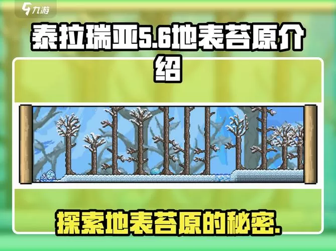 泰拉瑞亚地图编辑器在哪