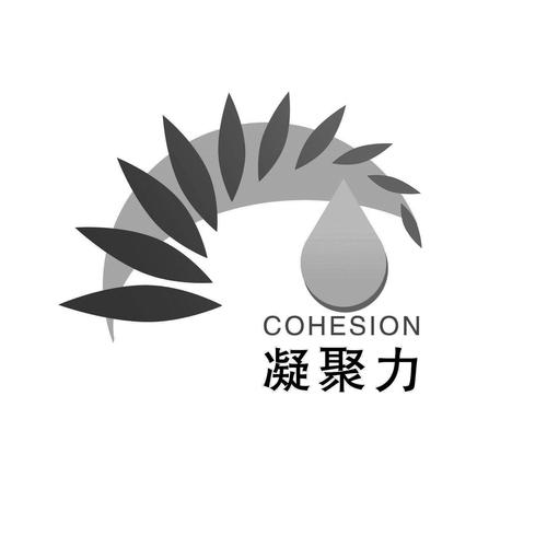 什么的凝聚力