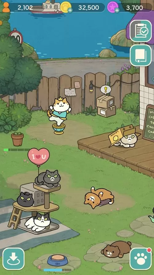 神秘猫咪字典破解版下载