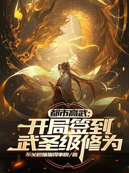 都市之开局获得武圣修为