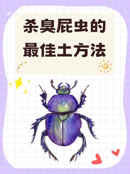 臭屁虫怎么消灭最彻底的方法