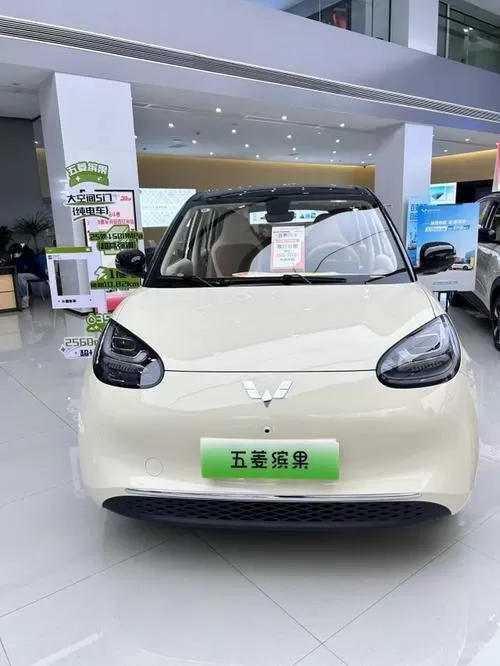 五菱缤果2024