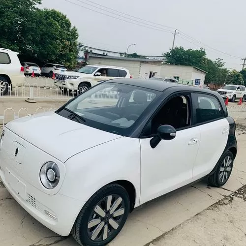 长城欧拉r1