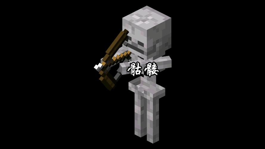我的世界骷髅boss