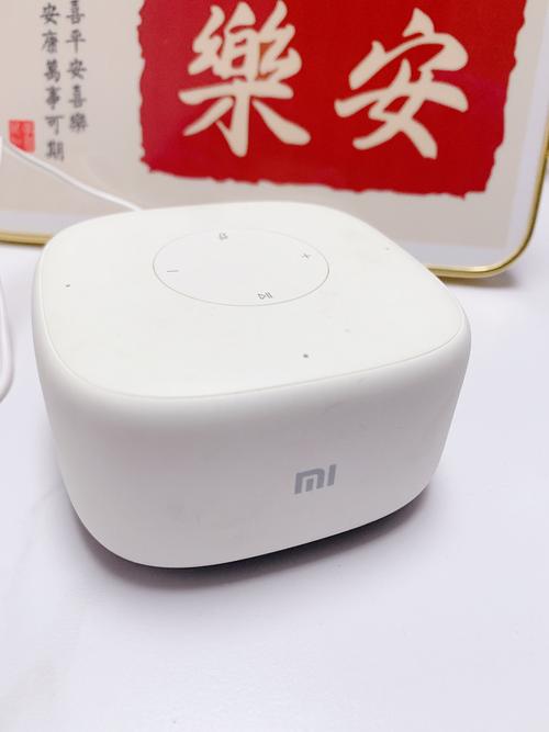 小爱音箱滋滋响
