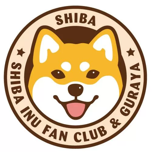 白色柴犬图片