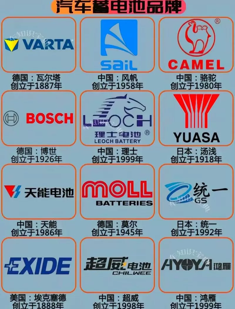 电池十大排行榜截图