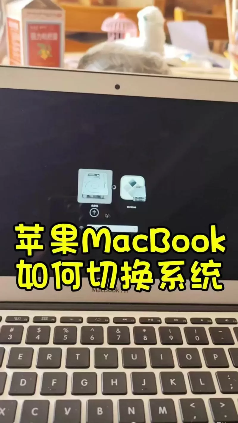 mac有必要装双系统吗