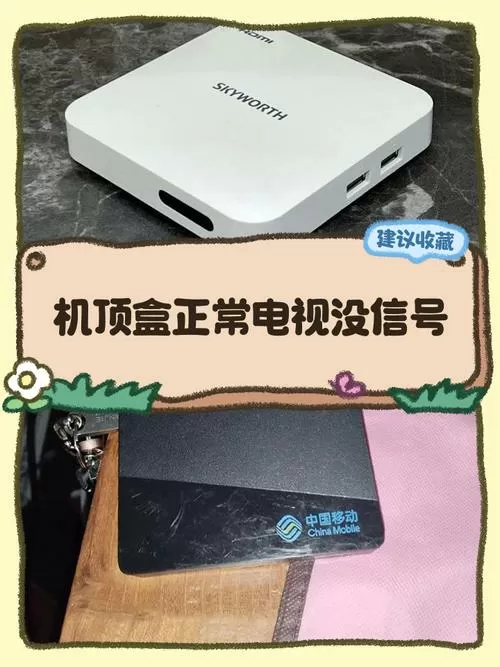 没有机顶盒只有wifi可以看电视吗