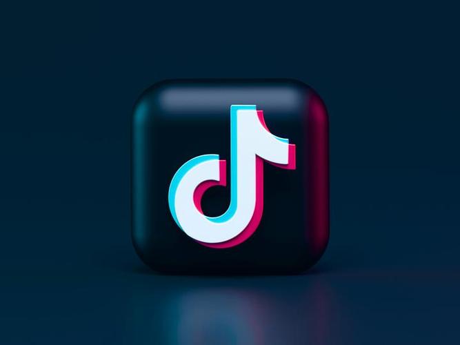 tiktok18无广告版光环加速版图标