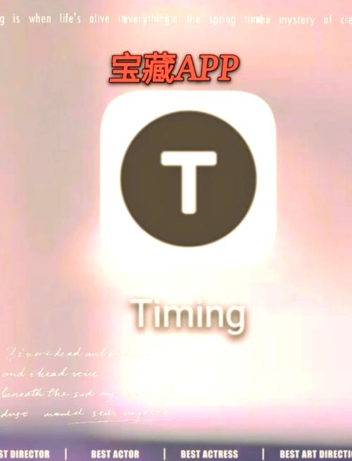 Timing官网入口