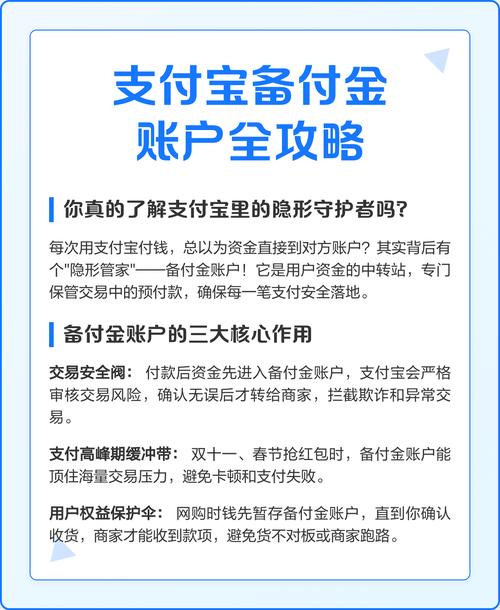 支付宝备付金账户是啥光环加速版