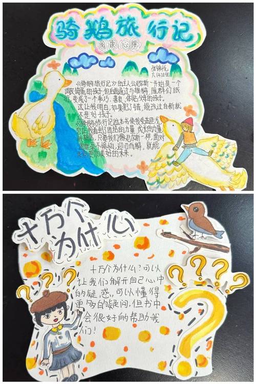 六年级精美读书卡光环加速版