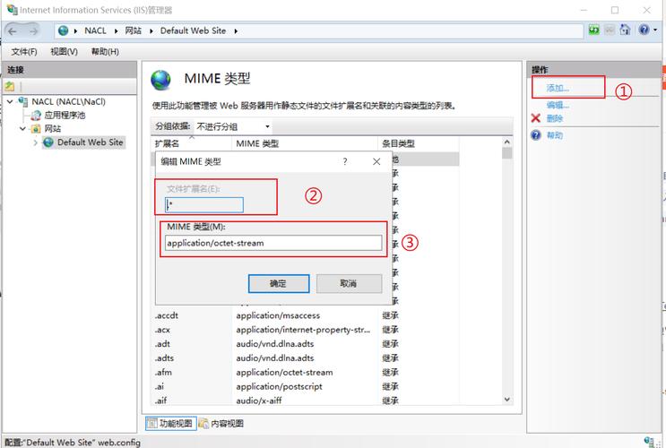 iis配置后localhost无法访问永久vip版