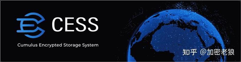 alphanetwork最新消息加速永久永久免更新