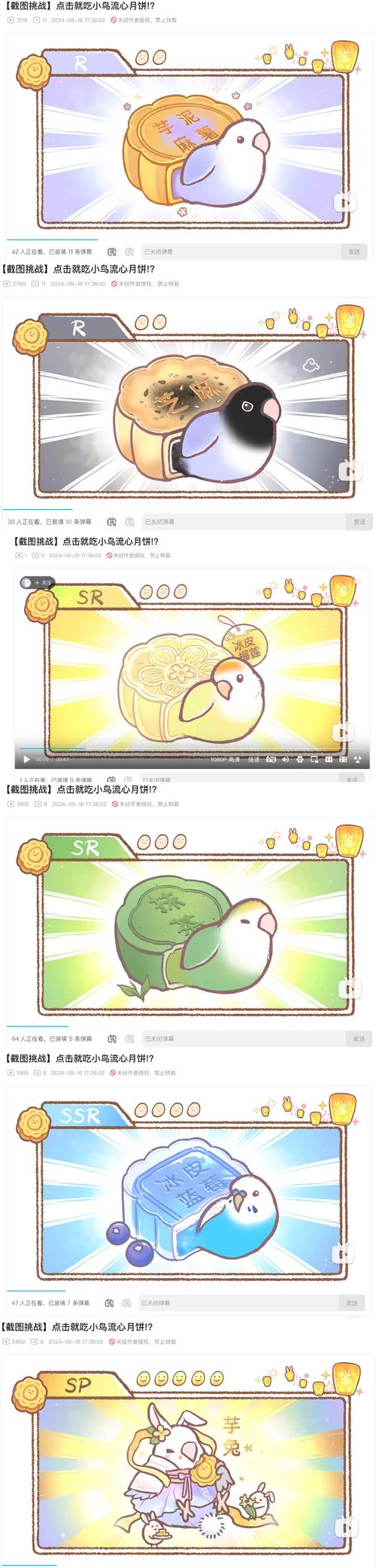 ssr官网下载客户端