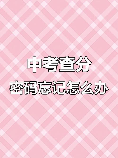 中考成绩忘了怎么查加速永久
