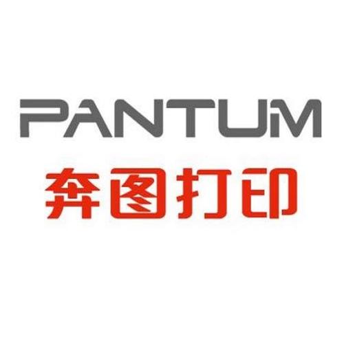 奔图P1000驱动最新版本更新内容最新tv版