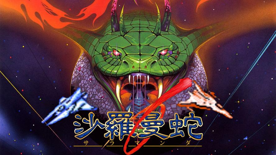 毒蛇加速器破解版光环加速版