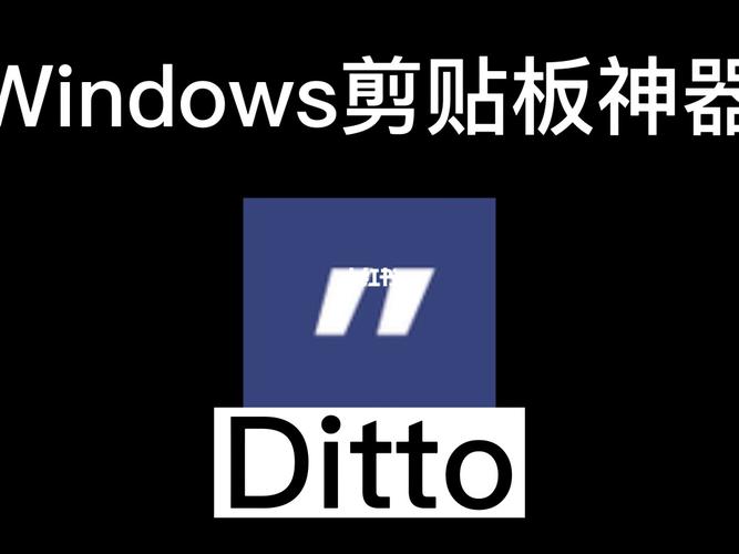 ditto软件去广告版