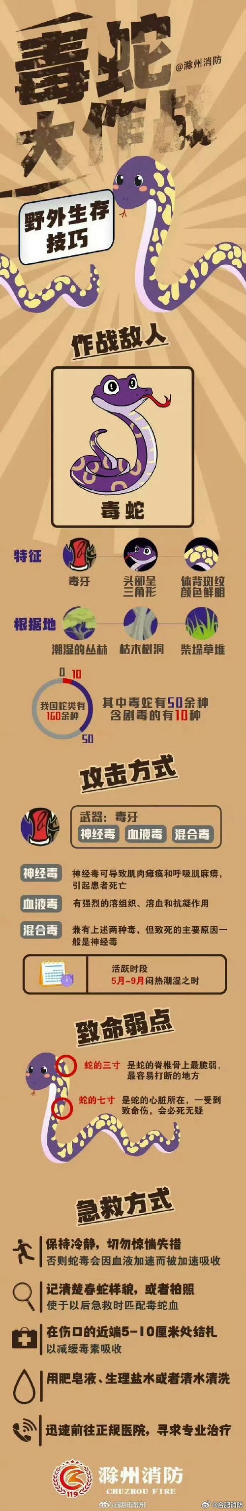 毒蛇加速器官方下载中文最新版