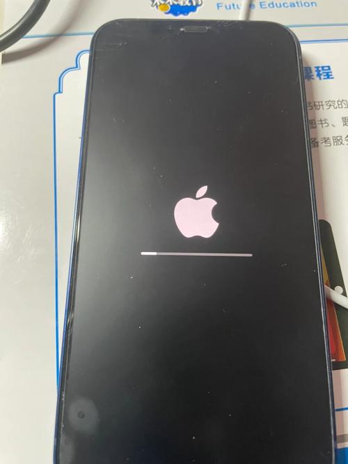 开机白苹果后马上黑屏光环加速版