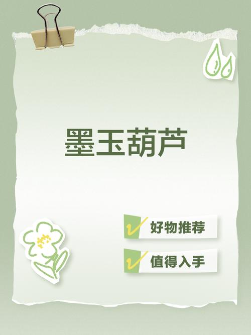 玉葫芦的全部小说网盘光环加速版