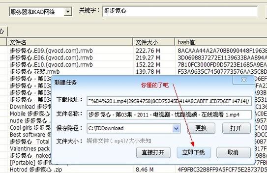 p2psearcher电脑端最新版本更新内容与特点提现版